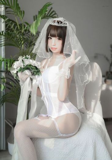 代号d机关