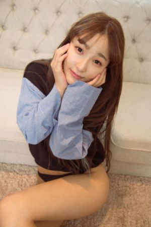 谍战剧《鹞子》免费观看