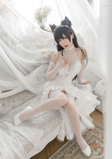 电视剧群星璀璨